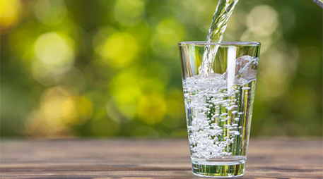 The Benefits of Using Filtered Water for Pets